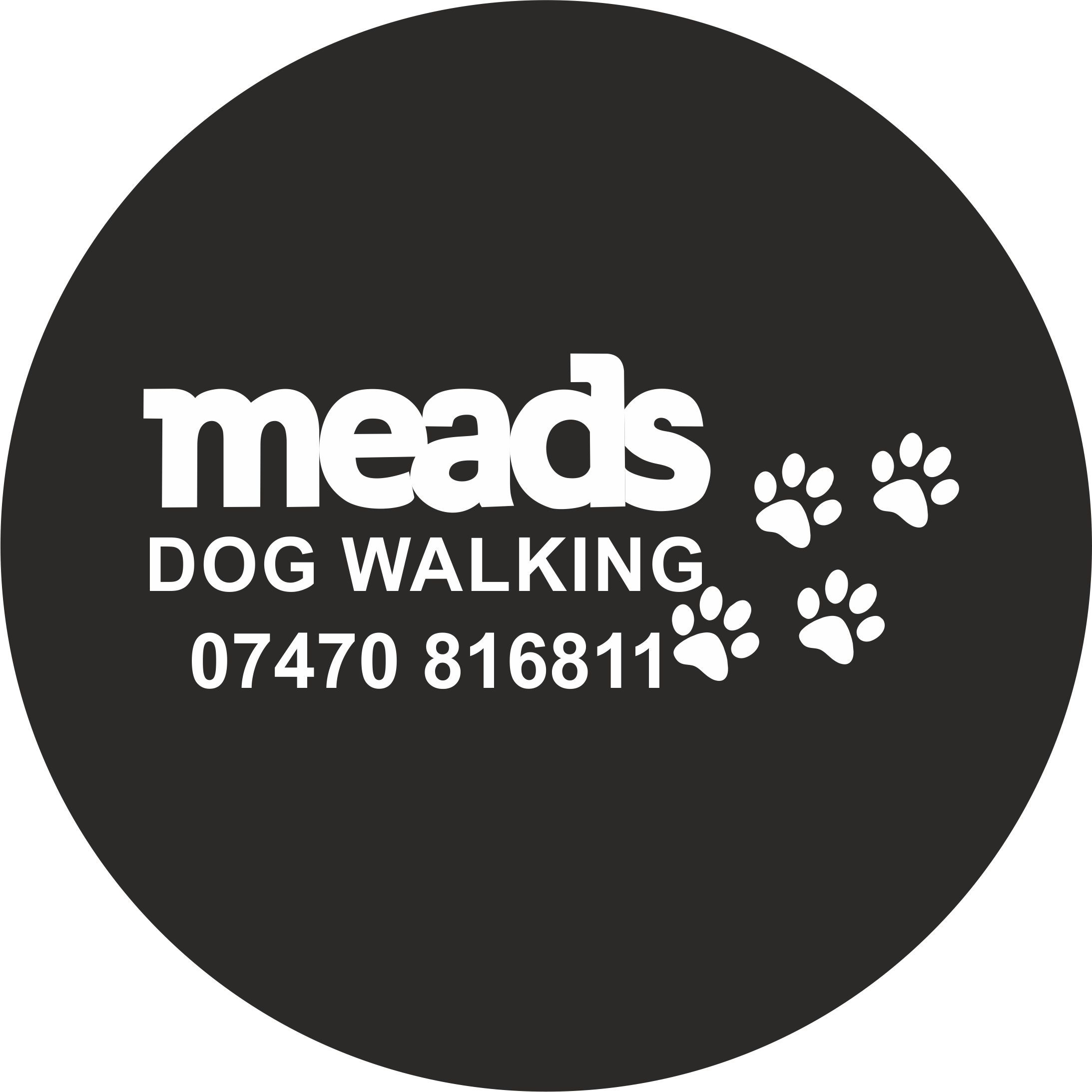 Meads Dog Walking
